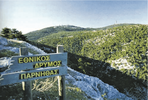 Σε μαρασμό το ελατοδάσος της Πάρνηθας – Σε κίνδυνο το κόκκινο ελάφι