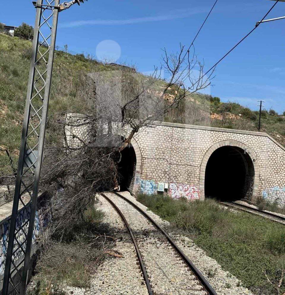 Τρένο από Χαλκίδα για Αθήνα προσέκρουσε σε πεσμένο δέντρο στον Άγιο Στέφανο