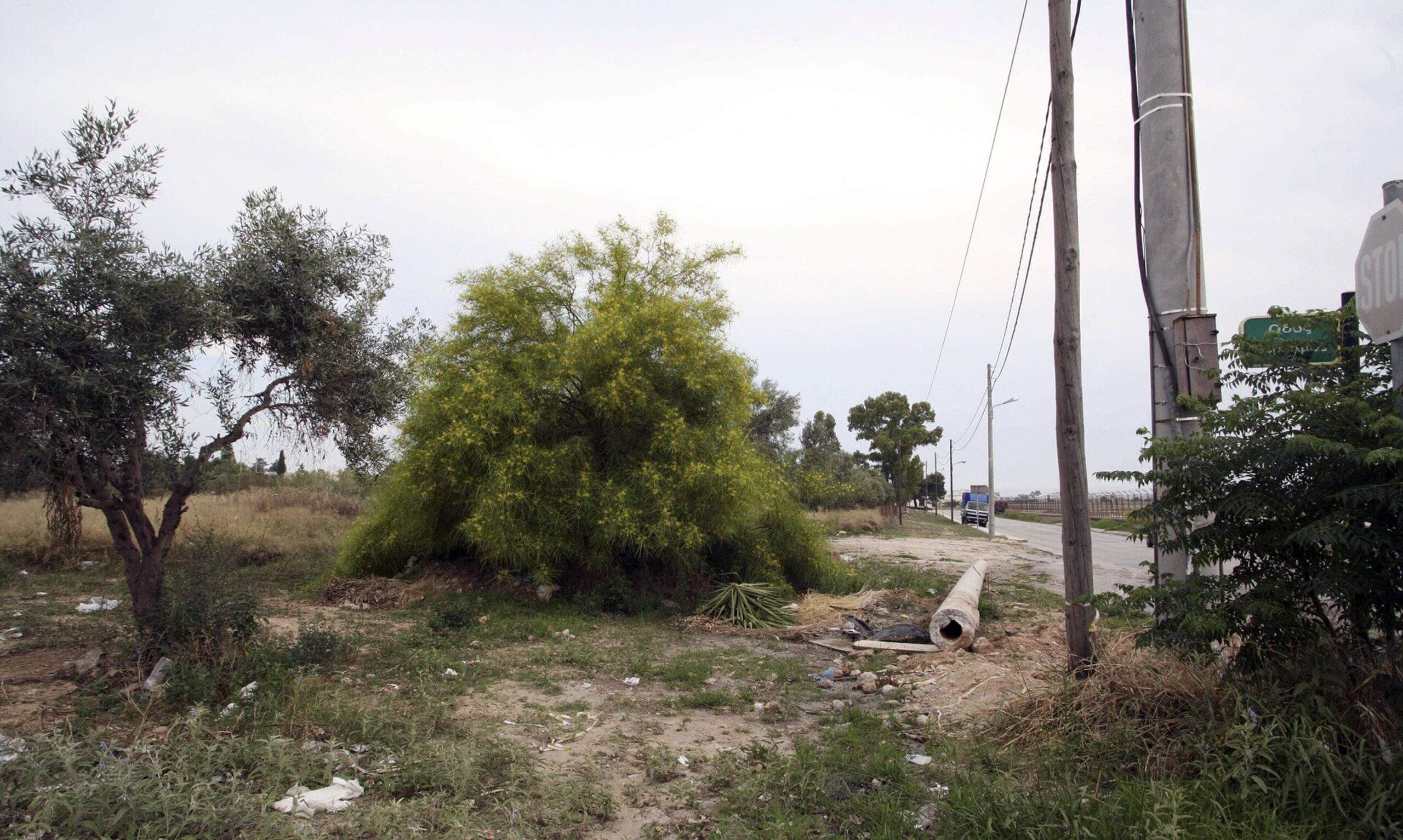 ΝΕΑ ΕΞΕΛΙΞΗ – Ακαθάριστα οικόπεδα: «Ψαλιδίζονται» τα μέτρα πυροπροστασίας – Οι φετινές υποχρεώσεις των ιδιοκτητών