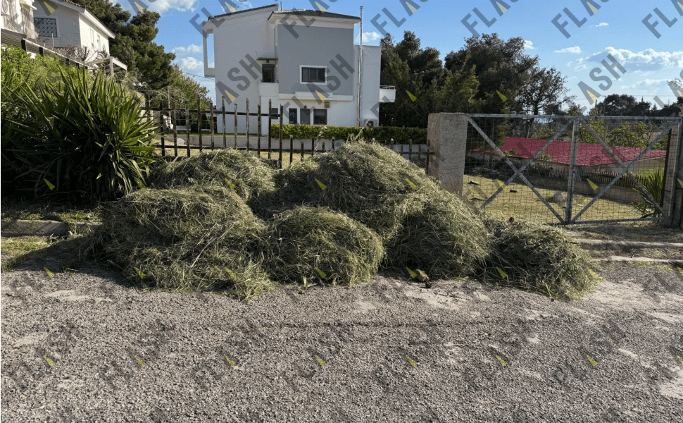 Αχαρνές: Τα οικόπεδα καθαρίζονται, αλλά τα ξερόχορτα μένουν στον δρόμο – Τι λέει ο Δήμος στον Flash