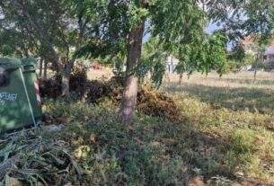 Τι αλλάζει στους καθαρισμούς των οικοπέδων με το νομοσχέδιο «Ενεργή Μάχη».