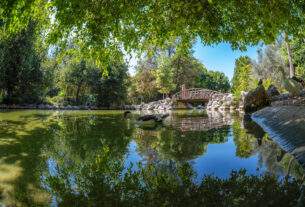 Καμία δέσμευση από την αντιπεριφερειάρχη κα Μωραϊτακη για συνέχιση των δωρεάν προγραμμάτων άθλησης στο Αττικό Άλσος!