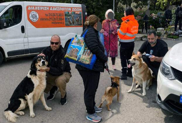 Δήμος Αχαρνών: «Σαφάρι» ελέγχων για τα δεσποζόμενα ζώα – 83 αυτοψίες, 50 καταγγελίες και 10 πρόστιμα σε τρεις μήνες.